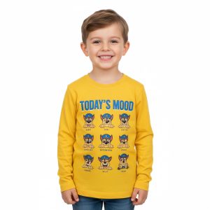 CAMISETA ML TODAY PAW PATROL